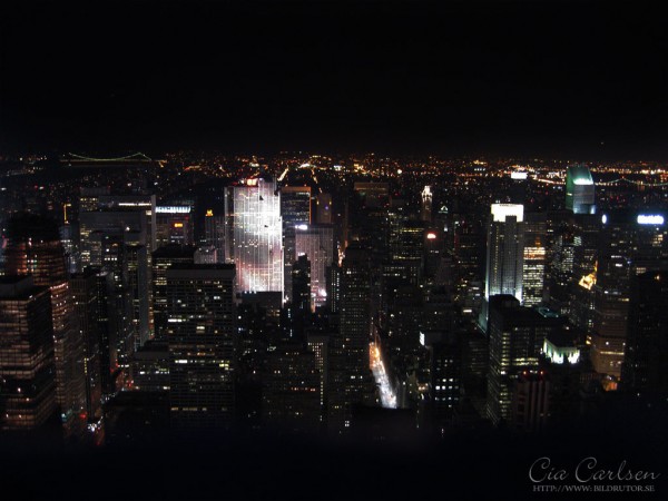 nynightview
